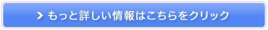 S{0~IƊEňl̓dCɒyTXeiuł񂫁z̔TCg